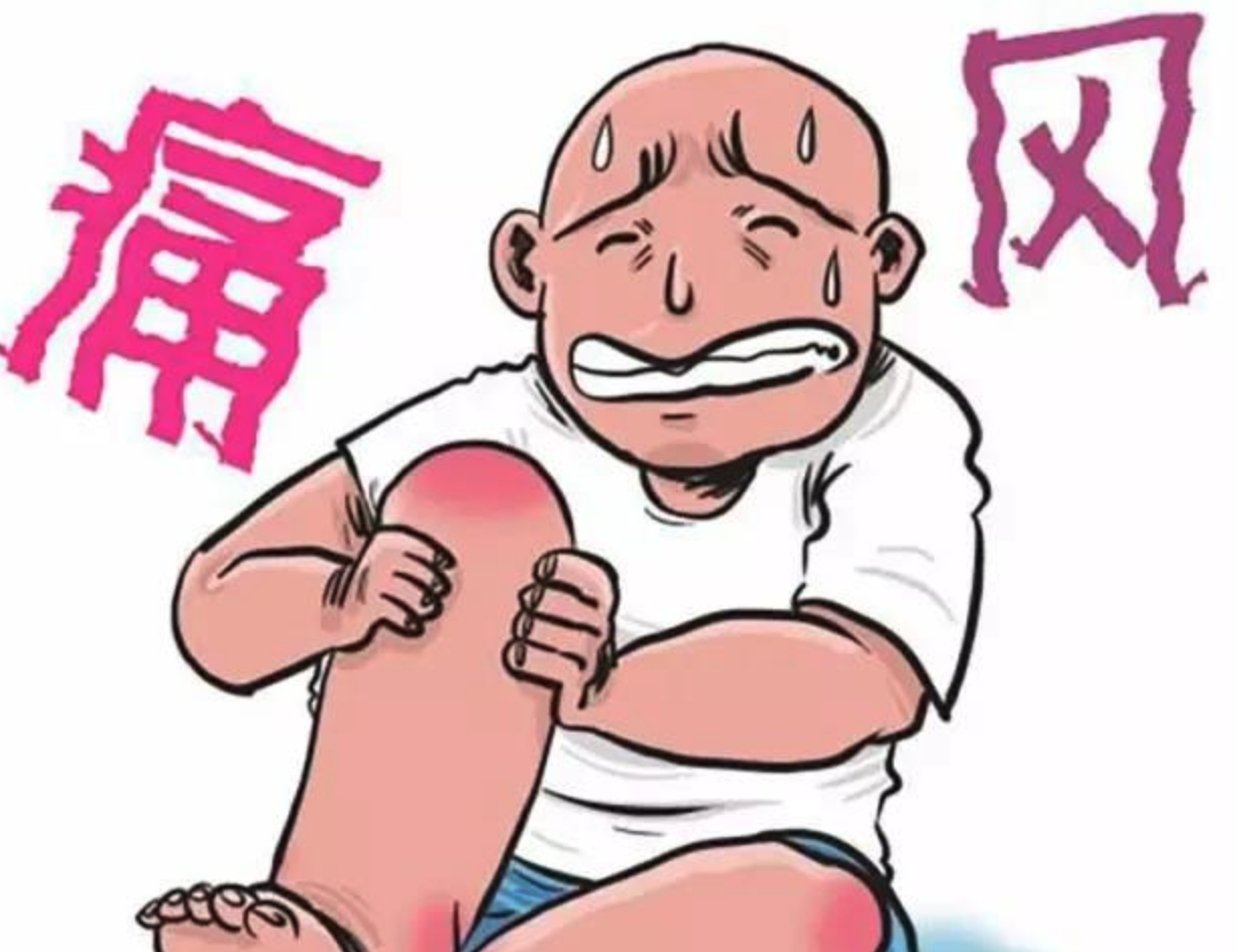 高尿酸血症和痛风的危险因素