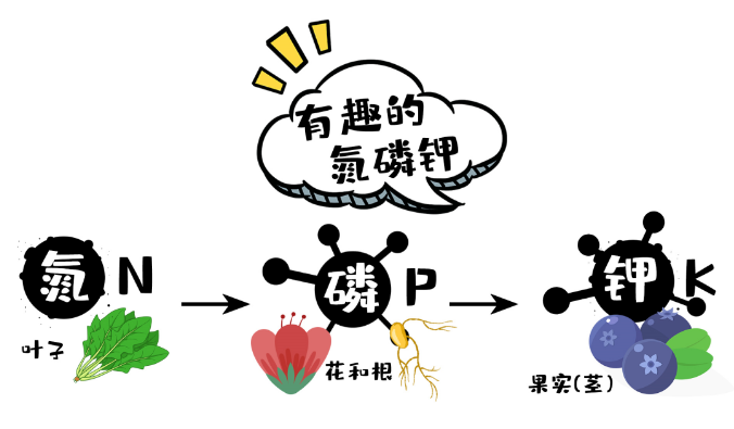 肾病人群：钾监测，真重要！